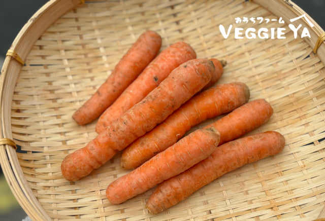 Organic Orange Carrots 1 LB