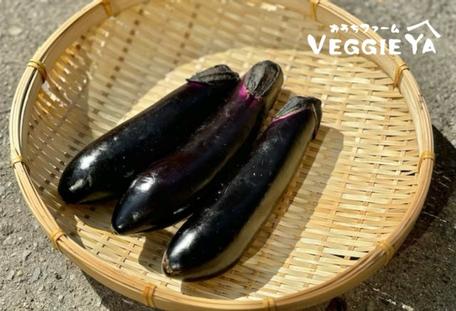 NASU Eggplant 3 pc