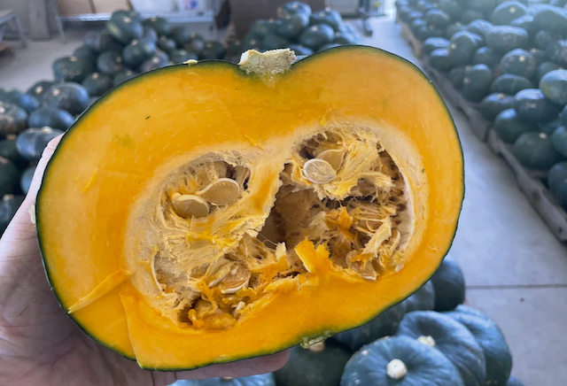 Kuri Kabocha Approx 3 LB