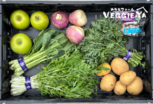 Omakase Farm Box -Medium-