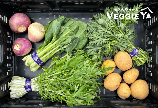 Omakase Farm Box -Small-
