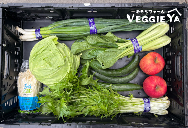 Omakase Farm Box -Medium-