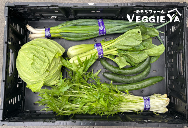 Omakase Farm Box -Small-