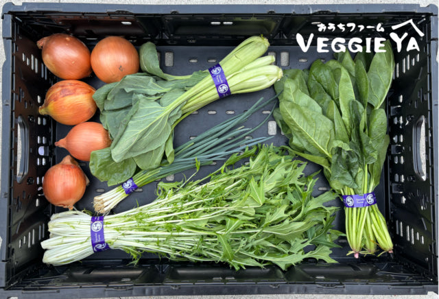 Omakase Farm Box -Small-