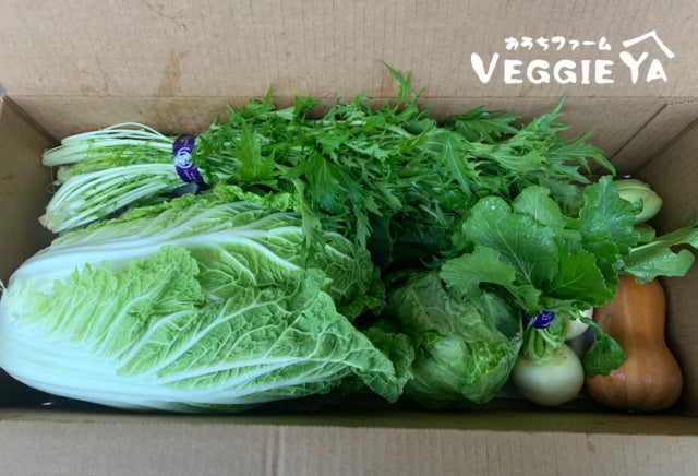 Omakase Farm Box -Small-