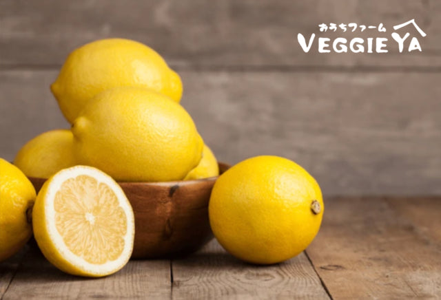 Lemon Organic 2 pieces