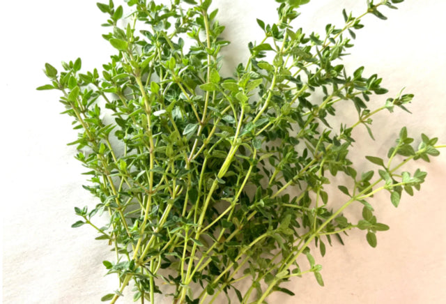 Thyme 1 Pack