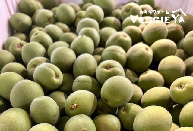 【Pre order for May 8】Organic Japanese Ume 1 lb