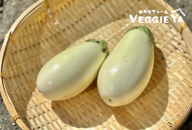 White Eggplant 2pc