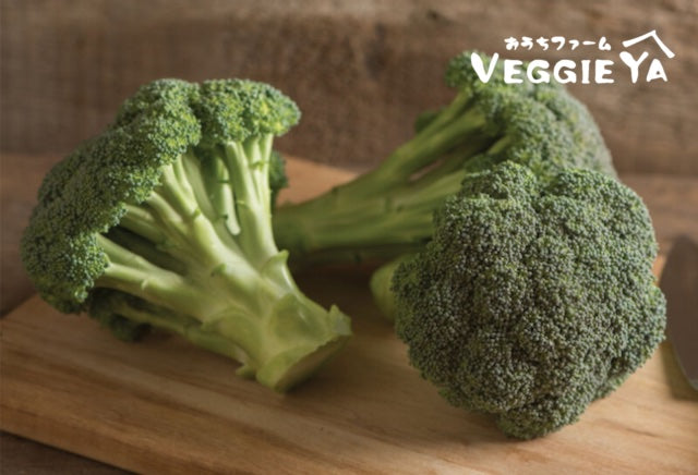 Broccoli Crown 1~2 heads