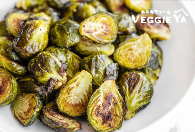 Brussels Sprout 1 LB