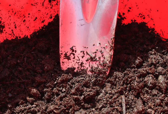 Compost 3 LB