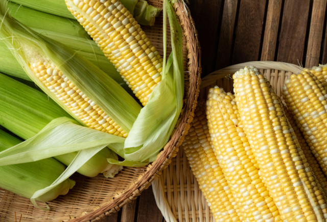 Bi-color Super Sweet Corn 4 pc