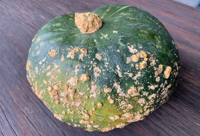 Suzuki Farm Kabocha (Blemished) Approx 3 LB