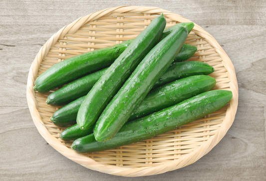 Suzuki Farm Kyuri 3pc (Japanese Cucumber)