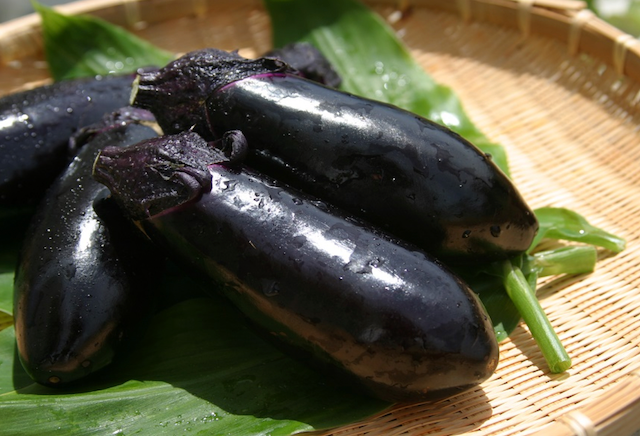 MIZU Eggplant 3 pc