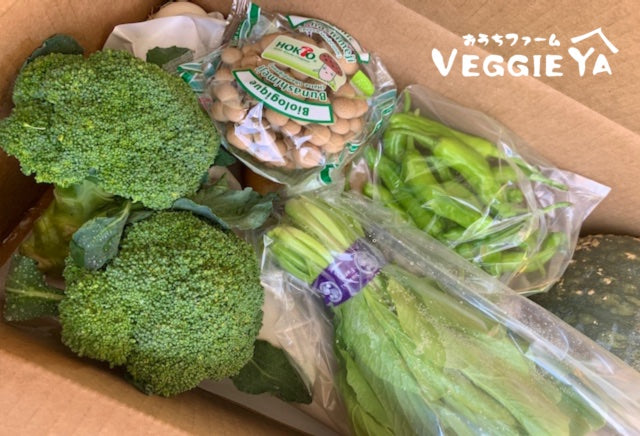 Omakase Farm Box -Medium-