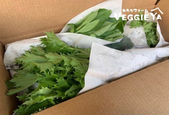 Omakase Farm Box -Small-