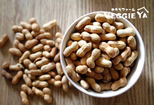 Raw Peanuts (In Shell) 1 LB