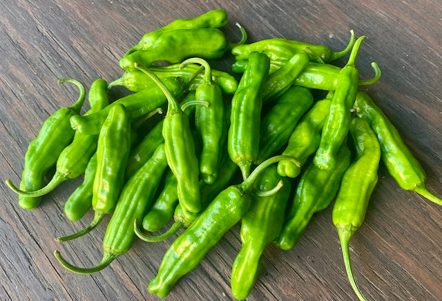 Shishito Pepper 0.5 lb