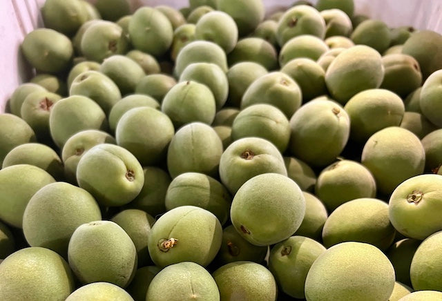 【Pre order for May 8th】Organic Japanese Ume 5 lb