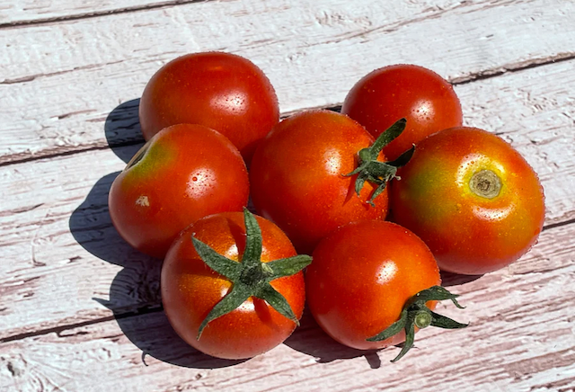 Sweet Cherry Tomato Seedlings 1 pot