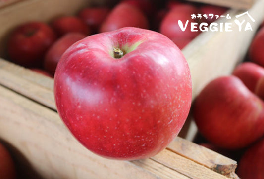 【Seasonal Special】Akane Apple 2 LB