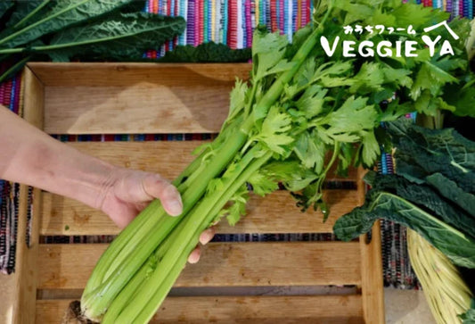 Organic Celery 1 bunch