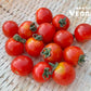 Cherry Tomato 1 pack