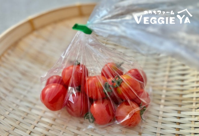 Cherry Tomato 1 pack