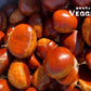 Fresh Chestnuts 5 LB