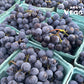 Concord Grapes 1 quart