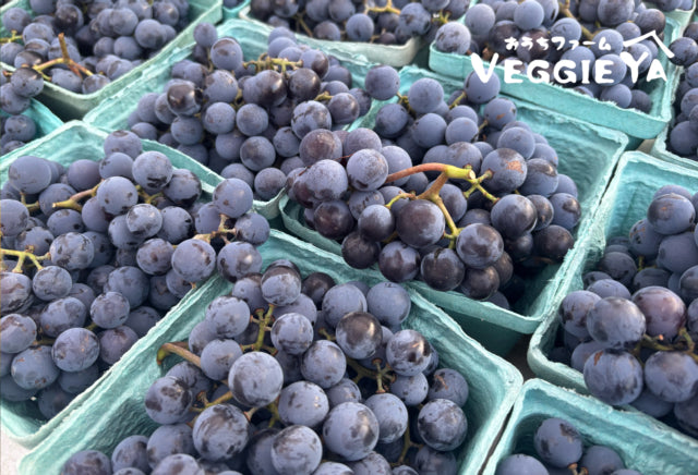 Concord Grapes 1 quart