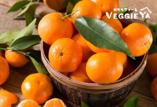 Mandarin Orange 3 LB