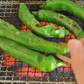 Suzuki Farm MANGANJI Sweet Chilli Pepper Seedlings 1 POT