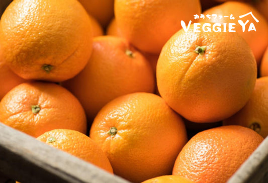 Navel Oranges 5 pieces