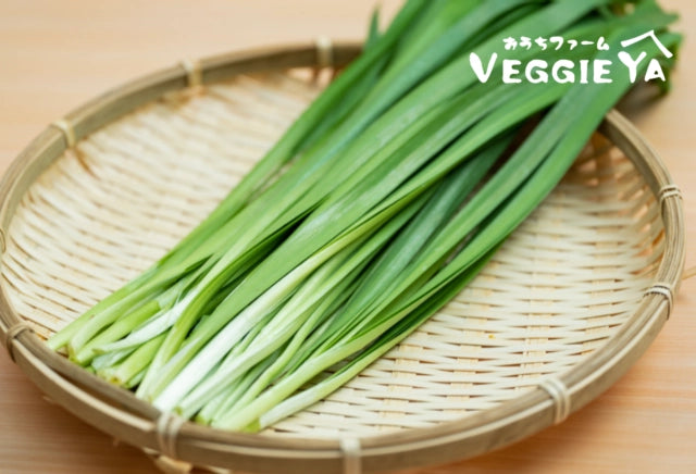 Nira (Garlic Chives) 1 bunch