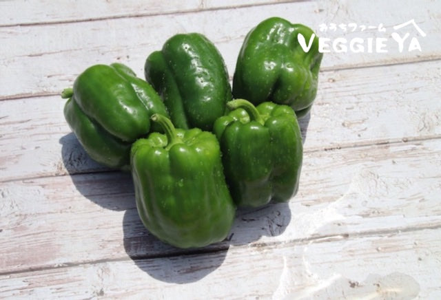 All Products – VEGGIE YA