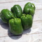 Peaman (Japanese Green Pepper) 5-6pc