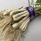 Unsorted RAKKYO, Scallion for pickles 1 bunch