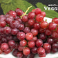 Red Grapes Seedless 2 LB