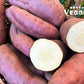 Organic Japanese Sweet Potato Approx 1.5 LB