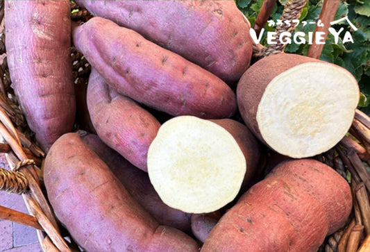 Organic Japanese Sweet Potato Approx 1.5 LB