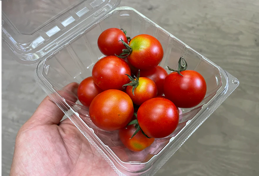 Suzuki Farm Cherry Tomato 1 pack