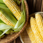 Bi-color Super Sweet Corn 4 pc