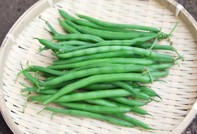 Green Beans 0.5 lb