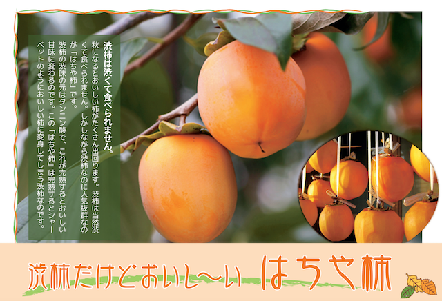 Hachiya Persimmon 1 piece