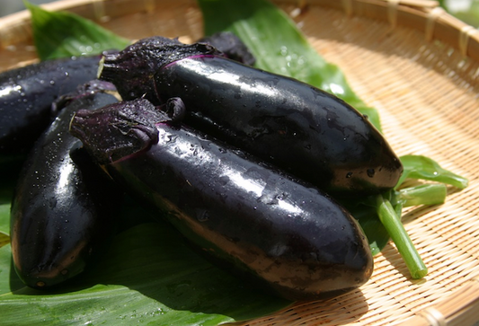 Suzuki Farm MIZU Eggplant 3 pc