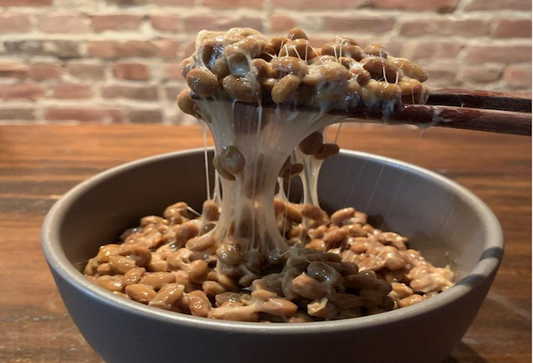【Delivery for July 18th】 Sankyodai Fresh Natto with Organic Soybeans 0.5lb